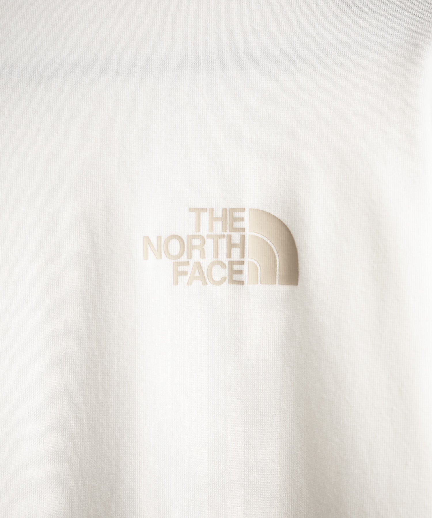 日本未展開モデル THE NORTH FACE WHITE LABEL SIGNATURE S/S R/TEE 接触冷感グラフィックプリント半袖Tシャツ 16066