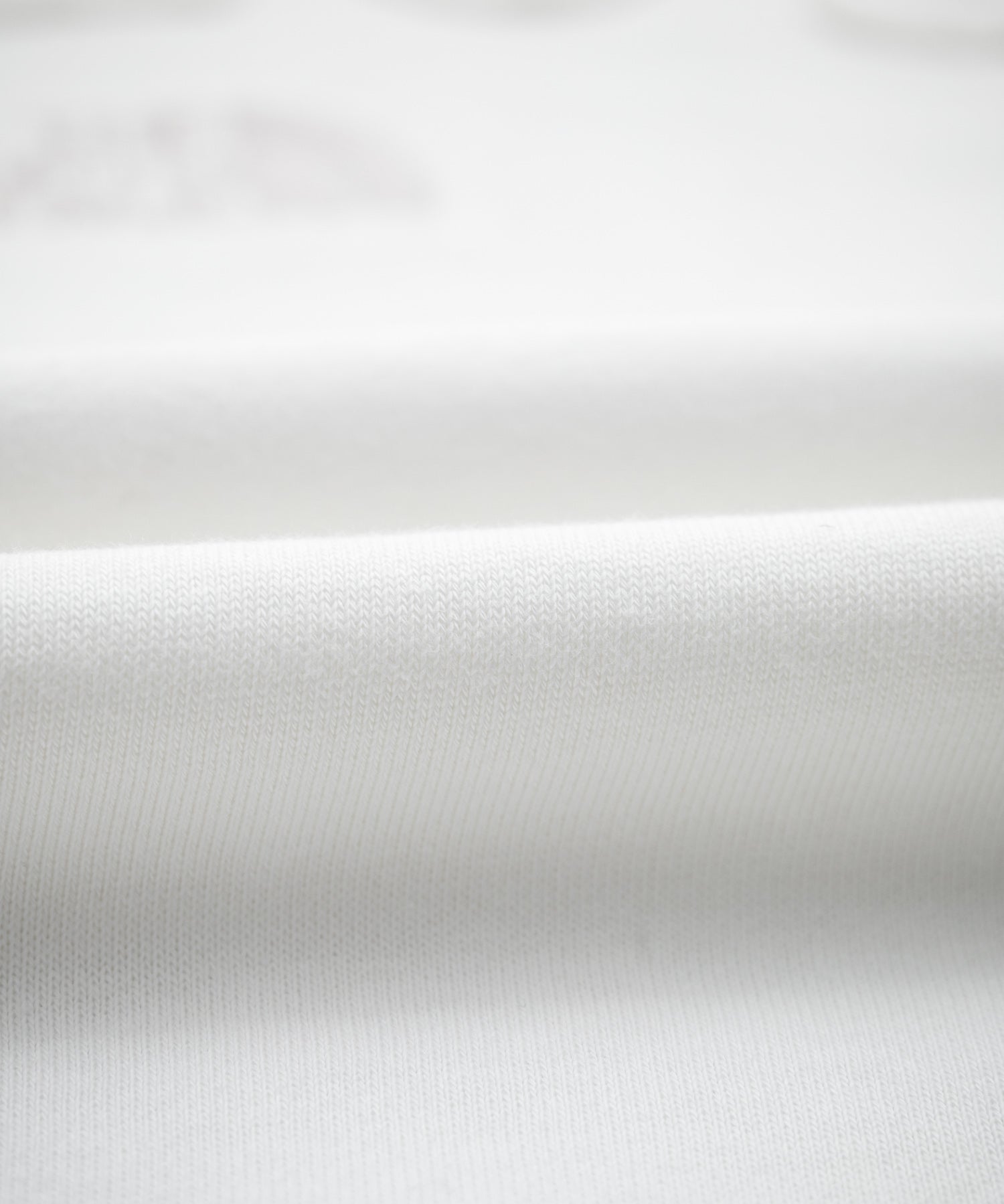 日本未展開モデル THE NORTH FACE ザ・ノースフェイス WHITE LABEL ホワイトレーベル EXPLORE SWEATSHIRTS アップリケ刺繍裏毛長袖スウェット/アーチロゴトレーナー 16595