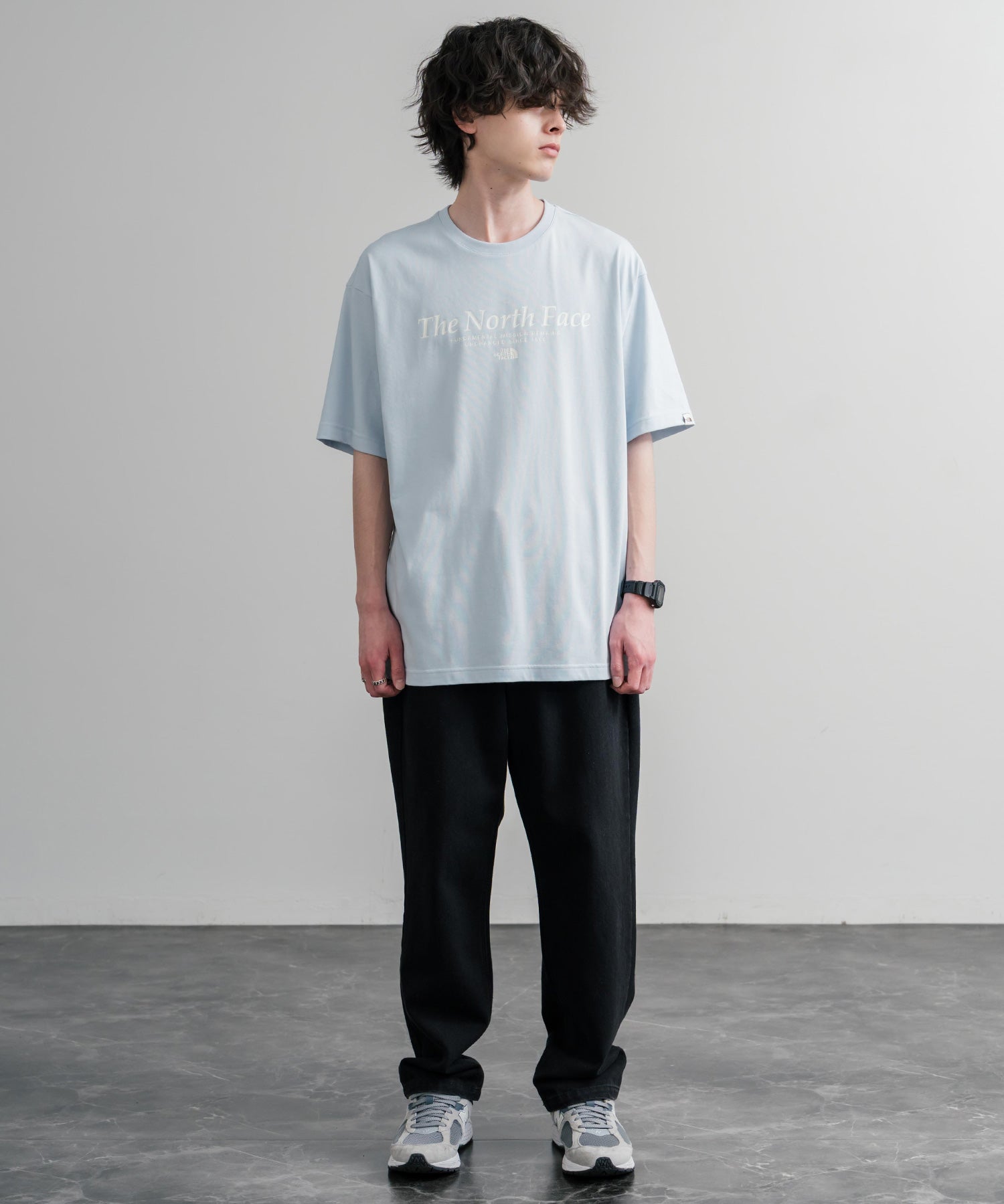 日本未展開モデル THE NORTH FACE WHITE LABEL SIGNATURE S/S R/TEE 接触冷感グラフィックプリント半袖Tシャツ 16066