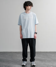 日本未展開モデル THE NORTH FACE WHITE LABEL SIGNATURE S/S R/TEE 接触冷感グラフィックプリント半袖Tシャツ 16066