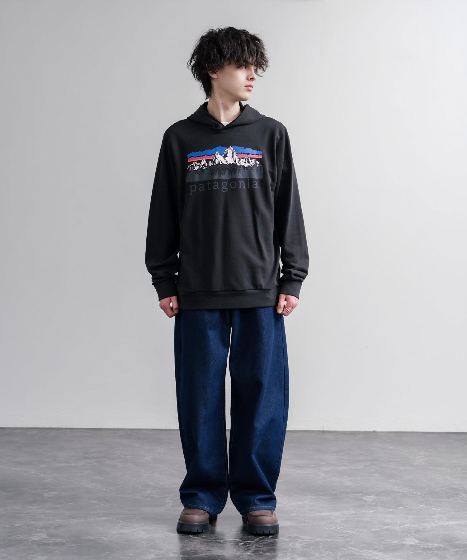 Patagonia パタゴニア M S FITZ ROY FOOTHILLS DAILY HOODY ロゴプリントフレンチテリー裏毛長袖プルオーバーパーカ ー 16537