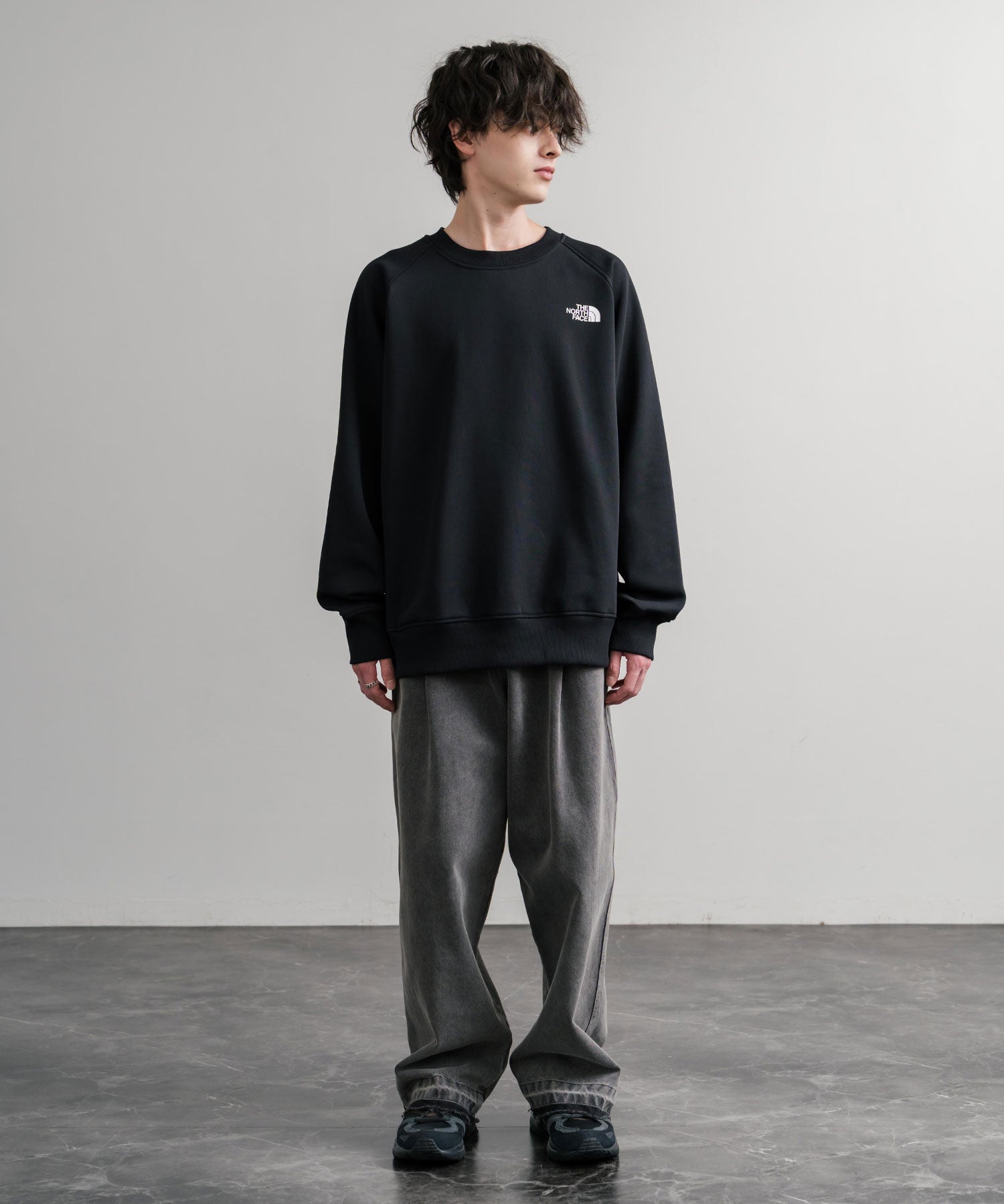 THE NORTH FACE ザ・ノースフェイス MEN S RAGLAN REDBOX CREW/バック