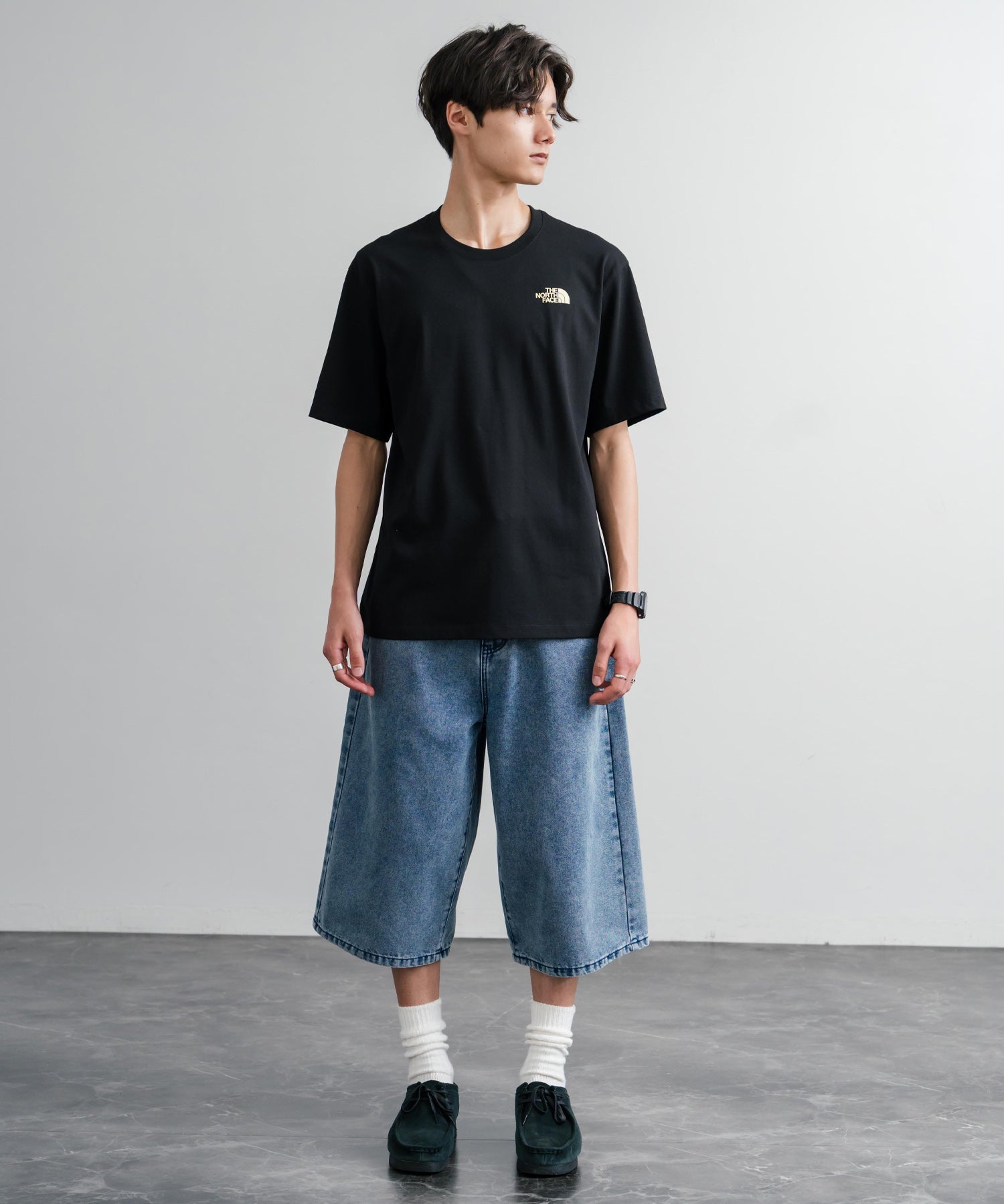 THE NORTH FACE ザ・ノースフェイス M'S EVERGREEN S/S R/TEE 1 バックプリント半袖クルーネックTシャツ 16023