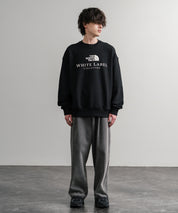 日本未展開モデル THE NORTH FACE ザ・ノースフェイス WHITE LABEL ホワイトレーベル TNF SIGNATURE SWEATSHIRTS クルーネック長袖スウェットトレーナー 15380