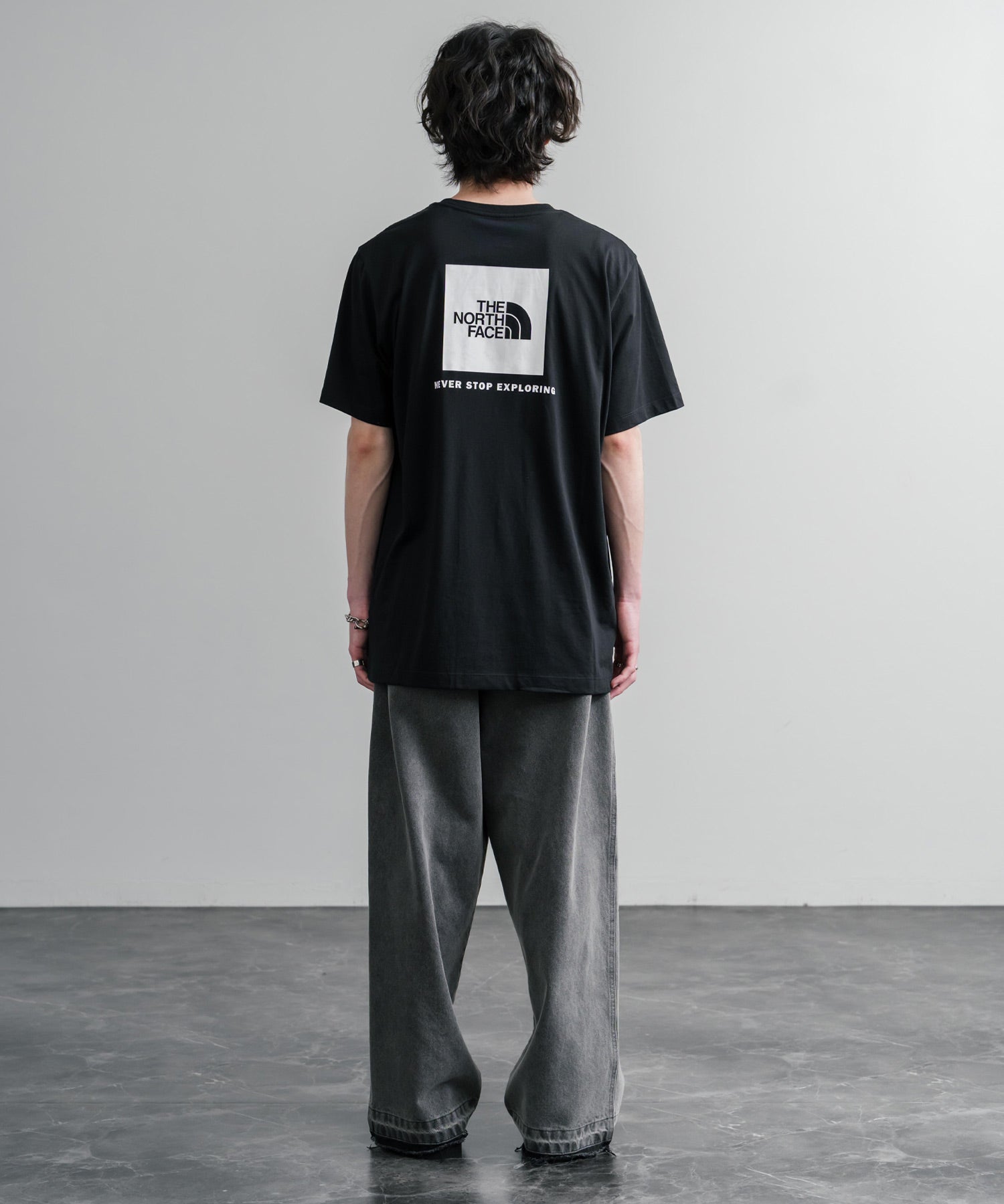 THE NORTH FACE ザ・ノースフェイス EVO BOX NSE REG SS TEE バック