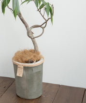 Butler Verner Sails バトラーバーナーセイルズ 国産/日本製 牛トコ革トラッシュボックス JI-2652 11759