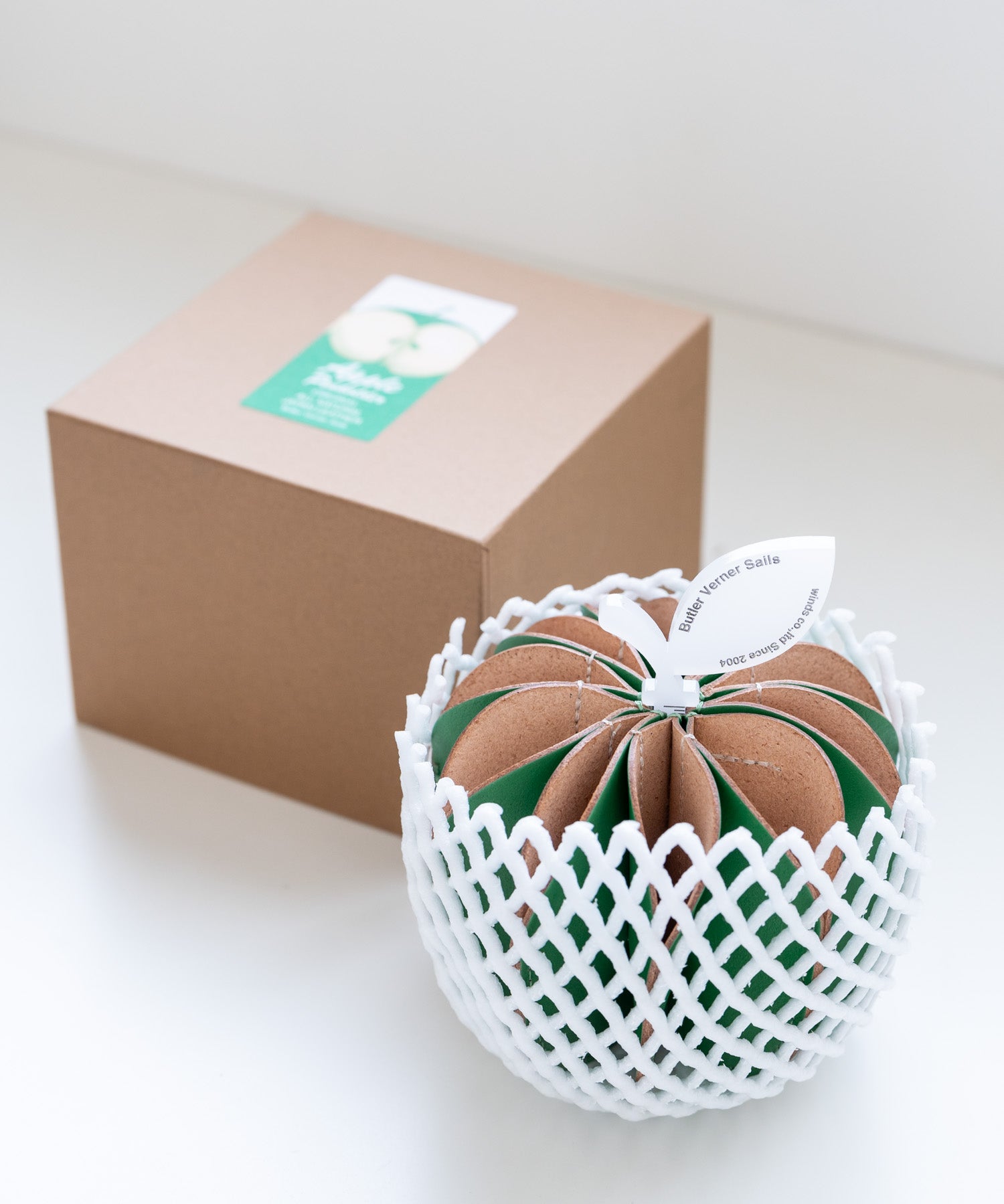 Butler Verner Sails バトラーバーナーセイルズ 日本製 国産トコヌメ革アップルペンホルダー JA-2358 11047